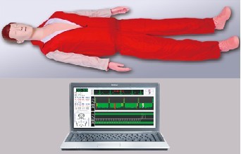 �����o(h��)��Ӗ(x��n)��ģ�M��